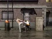 Raging Punch 3D game thumbnail