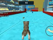 Cat Simulator: Kitty Craft! game thumbnail