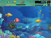 Feeding Frenzy game thumbnail
