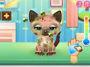 Adopt Your Pet Kitty game thumbnail