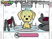 Pet Salon Doggy Days game thumbnail