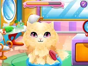 Stray Kitty Care game thumbnail