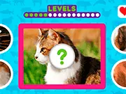 Animals Skin game thumbnail