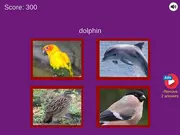 Guess The Pet: World Edition game thumbnail