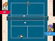 Super Pickleball Adventure game thumbnail