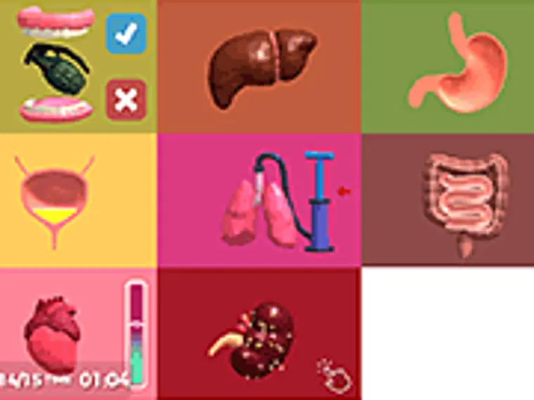 Anatomic Mayhem game artwork