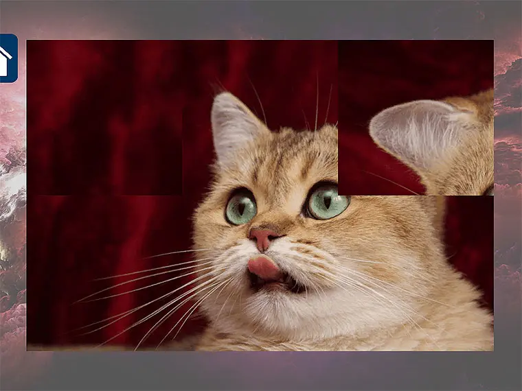 Funny Cats: Puzzle game artwork